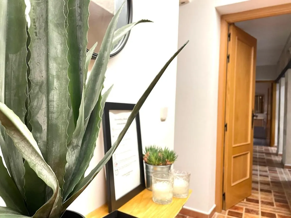 Alojamiento Retama Toledo Apartment